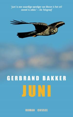 Cover of the book Juni by Hans Fallada