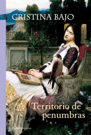 bigCover of the book Territorio de penumbras (Biblioteca Cristina Bajo) by 