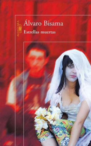 Cover of the book Estrellas muertas by Carlos Huneeus