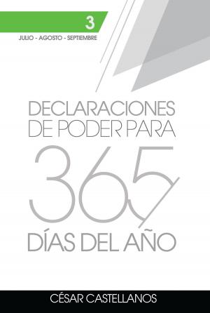 bigCover of the book Declaraciones de Poder para 365 días del Año by 