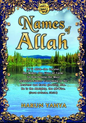 Book cover of Names of Allah