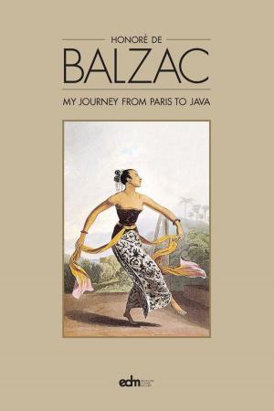Cover of the book My Journey from Paris to Java by Diana Darling