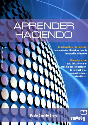 Cover of the book Aprender Haciendo by Édgar Jaimes