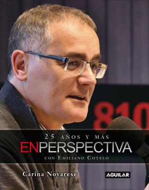 Cover of the book En Perspectiva. 25 años y más. by Alejandro De Barbieri