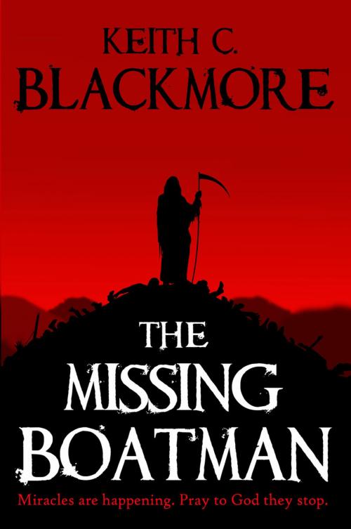 Cover of the book The Missing Boatman by Keith C. Blackmore, Eltanin Publishing