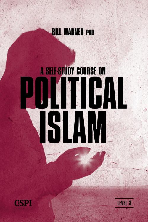 Cover of the book A Self-Study Course on Political Islam, Level 3 by Bill Warner, CSPI, LLC