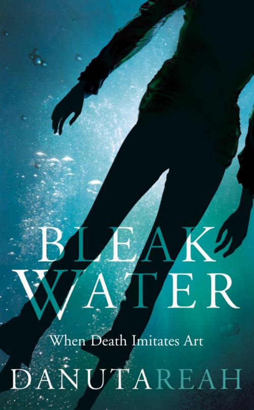 Cover of the book Bleak Water by Danuta Reah, HarperCollins Publishers