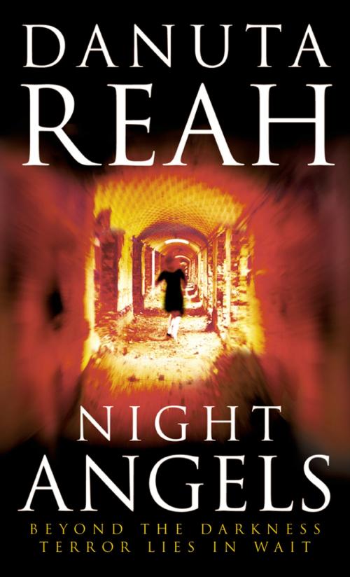 Cover of the book Night Angels by Danuta Reah, HarperCollins Publishers