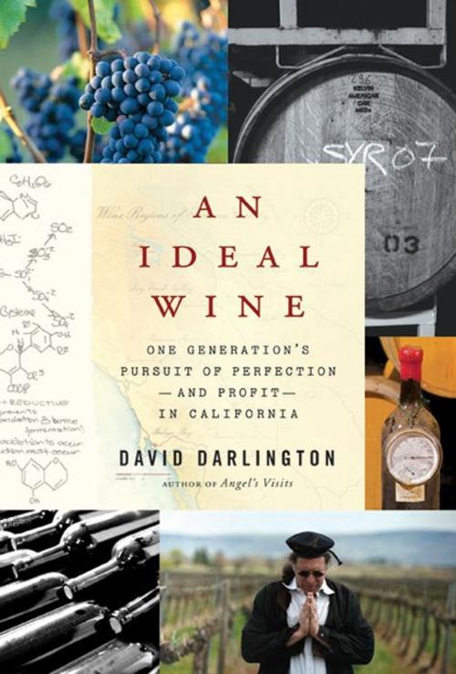 Cover of the book An Ideal Wine by David Darlington, HarperCollins e-books