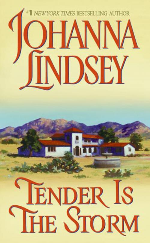 Cover of the book Tender Is the Storm by Johanna Lindsey, HarperCollins e-books