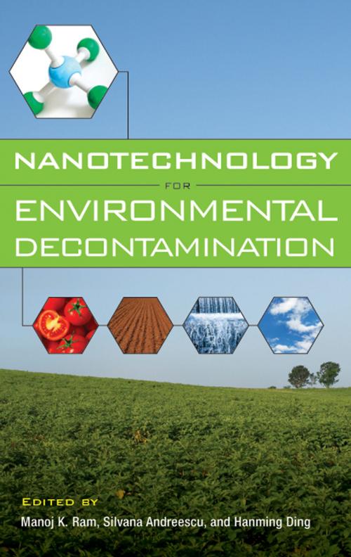 Cover of the book Nanotechnology for Environmental Decontamination by E. Silvana Andreescu, Ding Hanming, Manoj Kumar Ram, McGraw-Hill Education