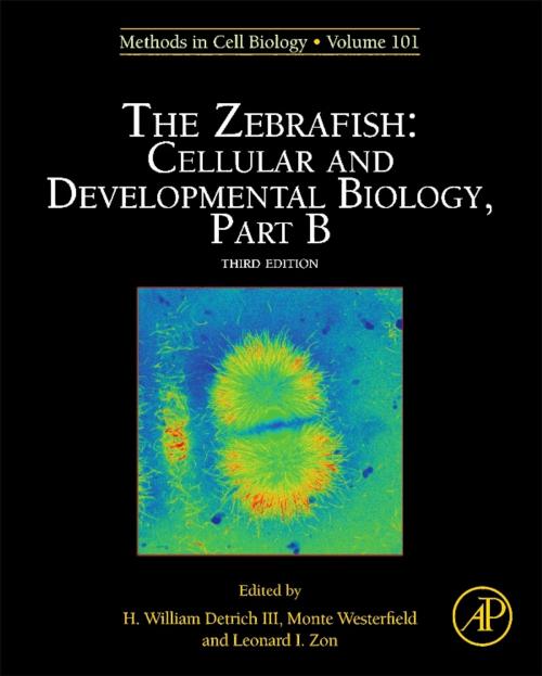 Cover of the book The Zebrafish: Cellular and Developmental Biology, Part B by H. William Detrich, III, Monte Westerfield, Leonard Zon, Elsevier Science