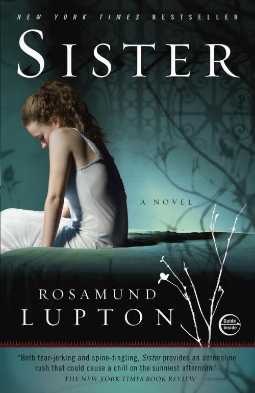 Cover of the book Sister by Rosamund Lupton, Crown/Archetype