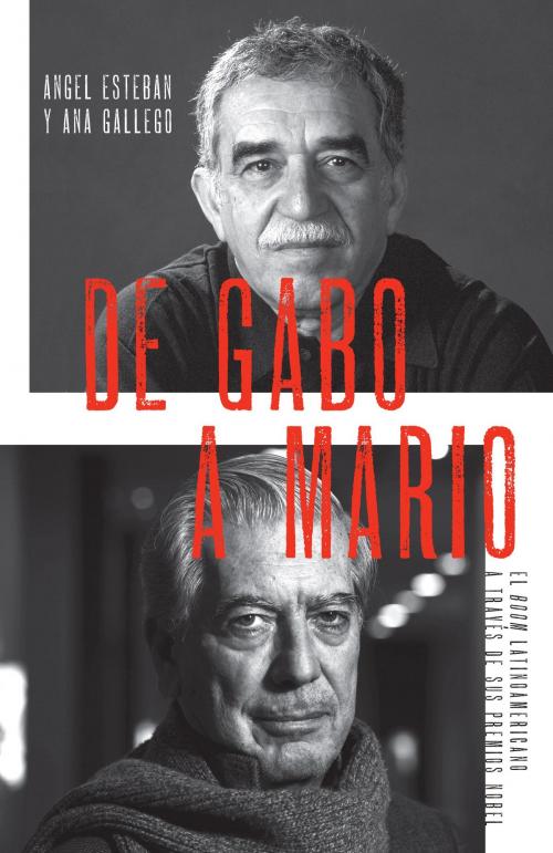 Cover of the book De Gabo a Mario by Angel Esteban, Ana Gallego, Knopf Doubleday Publishing Group