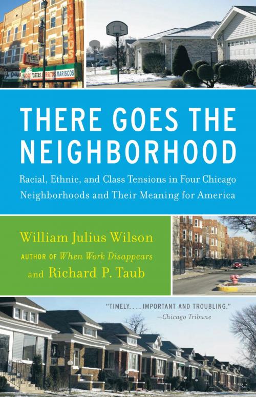 Cover of the book There Goes the Neighborhood by William Julius Wilson, Richard P. Taub, Knopf Doubleday Publishing Group