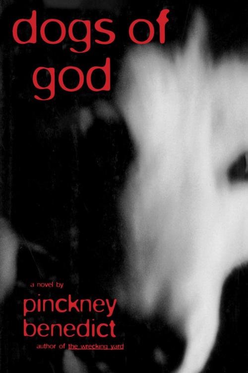 Cover of the book Dogs of God by Pinckney Benedict, Knopf Doubleday Publishing Group