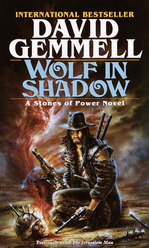 Cover of the book Wolf in Shadow by David Gemmell, Random House Publishing Group