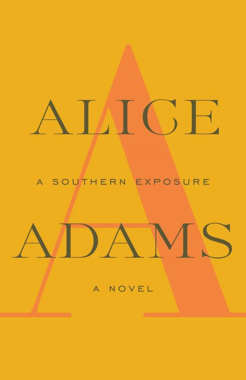 Cover of the book A Southern Exposure by Alice Adams, Knopf Doubleday Publishing Group