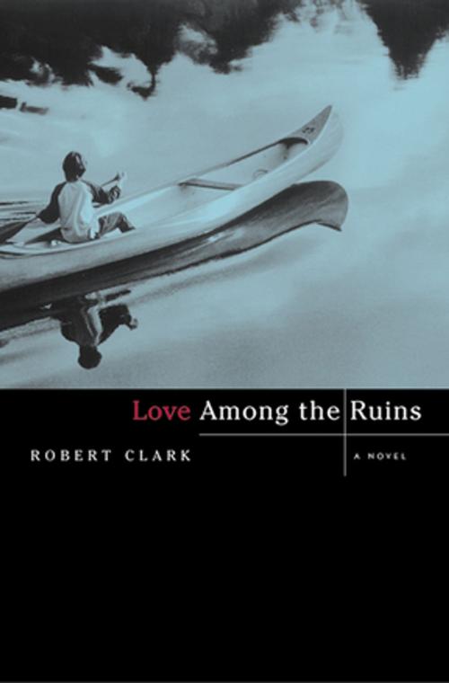 Cover of the book Love Among the Ruins: A Novel by Robert Clark, W. W. Norton & Company