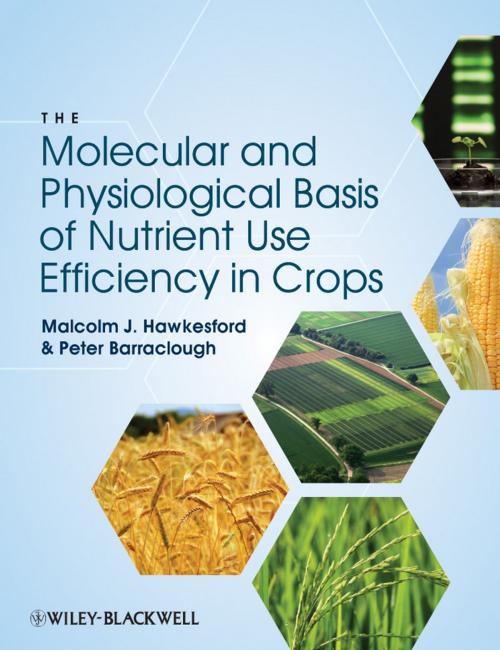 Cover of the book The Molecular and Physiological Basis of Nutrient Use Efficiency in Crops by Malcolm J. Hawkesford, Peter Barraclough, Wiley