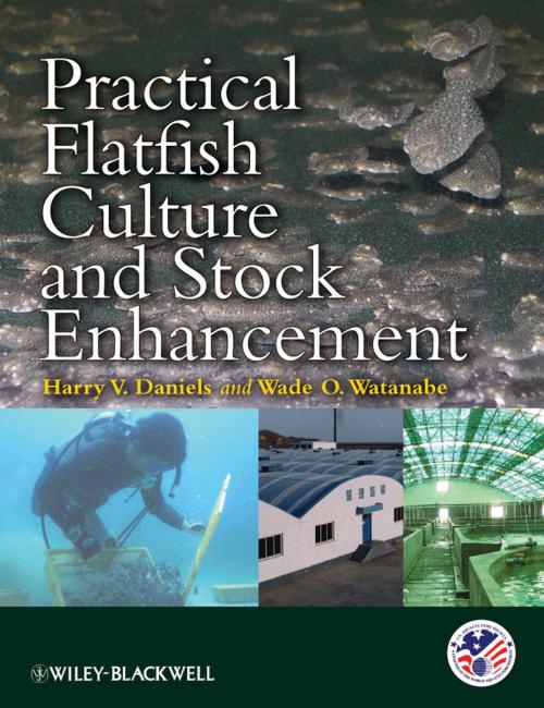 Cover of the book Practical Flatfish Culture and Stock Enhancement by , Wiley