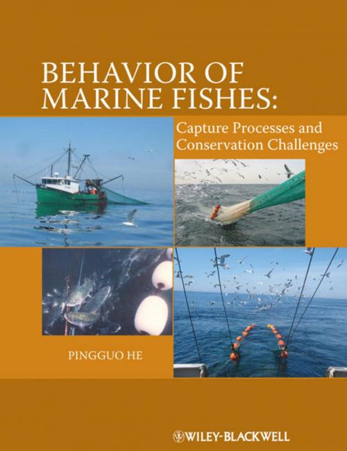 Cover of the book Behavior of Marine Fishes by Pingguo He, Wiley