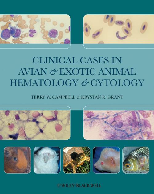 Cover of the book Clinical Cases in Avian and Exotic Animal Hematology and Cytology by Krystan R. Grant, Terry Campbell, Wiley
