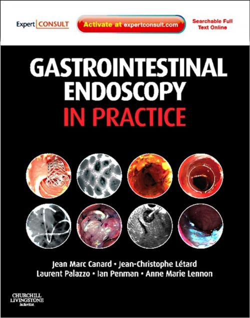 Cover of the book Gastrointestinal Endoscopy in Practice by Jean Marc Canard, Jean-Christophe Letard, Laurent Palazzo, Ian Penman, Anne Marie Lennon, Elsevier Health Sciences UK