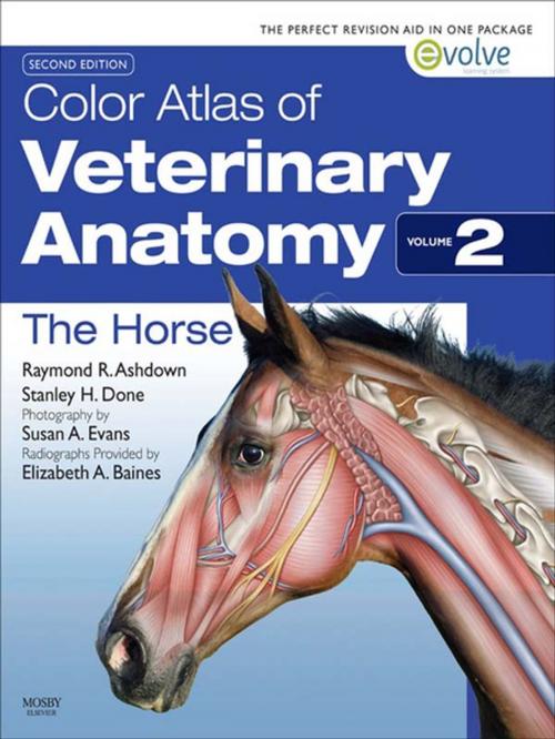 Cover of the book Color Atlas of Veterinary Anatomy, Volume 2, The Horse - E-BOOK by Raymond R. Ashdown, BVSc PhD MRCVS, Stanley H. Done, BA, BVetMed, PhD, DECPHM, DECVP, FRCVS, FRCPath, Susan A. Evans, MIScT AIMI MIAS, Elizabeth A Baines, MA, VetMB, DVR, DipECVDI, MRCVS, Elsevier Health Sciences