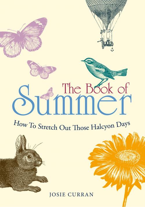 Cover of the book The Book of Summer by Josie Curran, Ebury Publishing