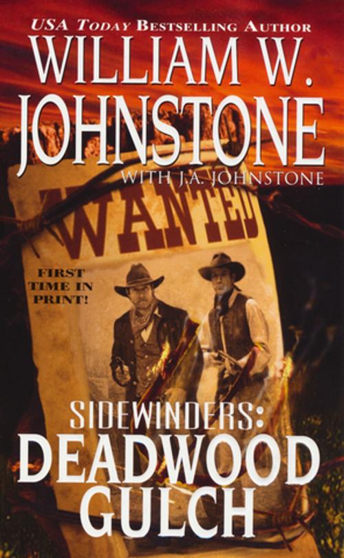 Cover of the book Deadwood Gulch by William W. Johnstone, J.A. Johnstone, Pinnacle Books