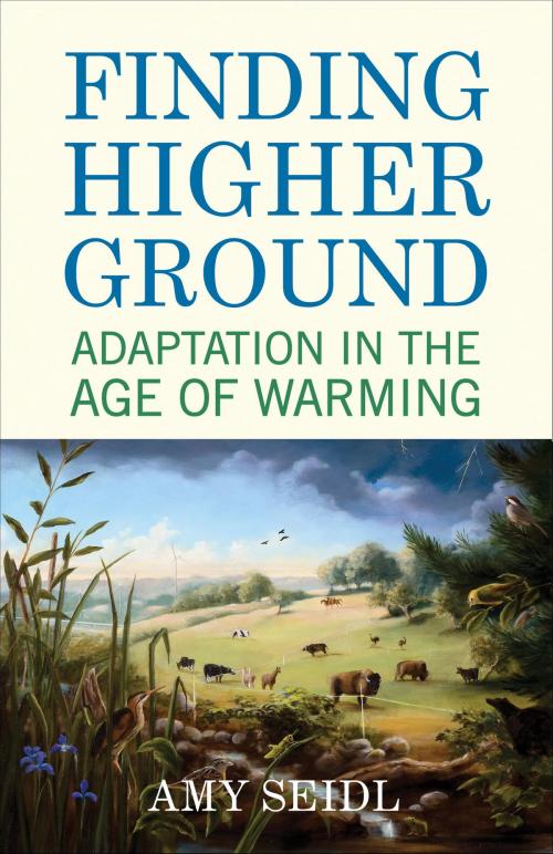 Cover of the book Finding Higher Ground by Amy Seidl, Beacon Press