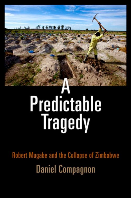 Cover of the book A Predictable Tragedy by Daniel Compagnon, University of Pennsylvania Press, Inc.