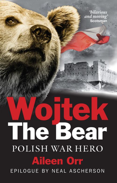 Cover of the book Wojtek the Bear by Neal Ascherson, Aileen Orr, Birlinn