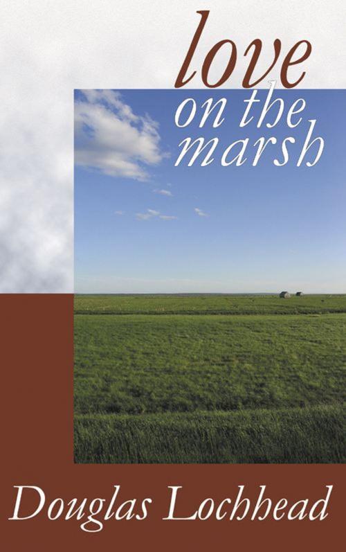 Cover of the book Love on the Marsh by Douglas Lochhead, Sybertooth Inc