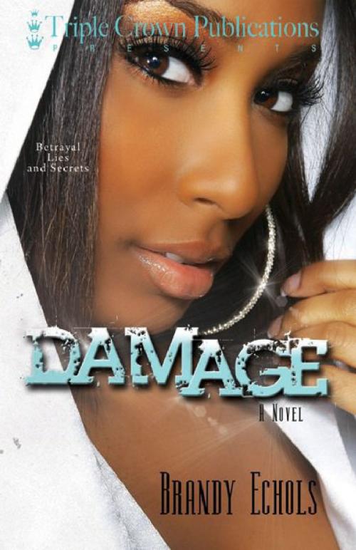 Cover of the book Damage by Brandy Echols, Triple Crown Publications