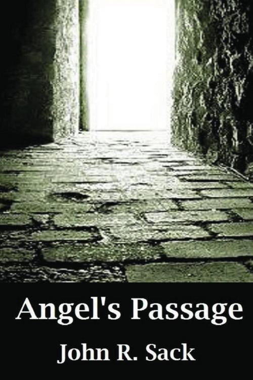Cover of the book Angel's Passage by John Richard Sack, John Richard Sack