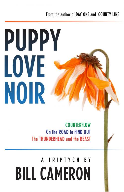 Cover of the book Puppy Love Noir by Bill Cameron, Bill Cameron