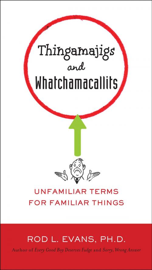 Cover of the book Thingamajigs and Whatchamacallits by Rod L. Evans, Ph.D., Penguin Publishing Group