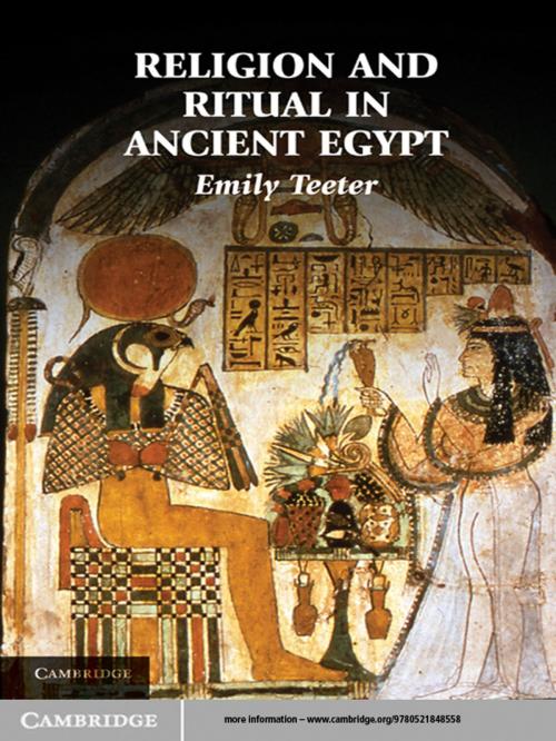 Cover of the book Religion and Ritual in Ancient Egypt by Emily Teeter, Cambridge University Press