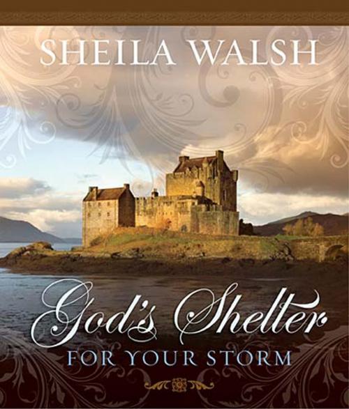 Cover of the book God's Shelter for Your Storm by Sheila Walsh, Thomas Nelson