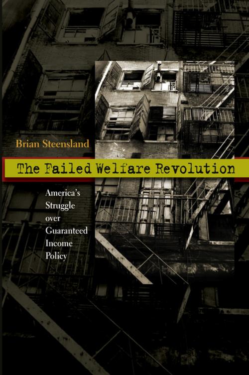 Cover of the book The Failed Welfare Revolution by Brian Steensland, Princeton University Press
