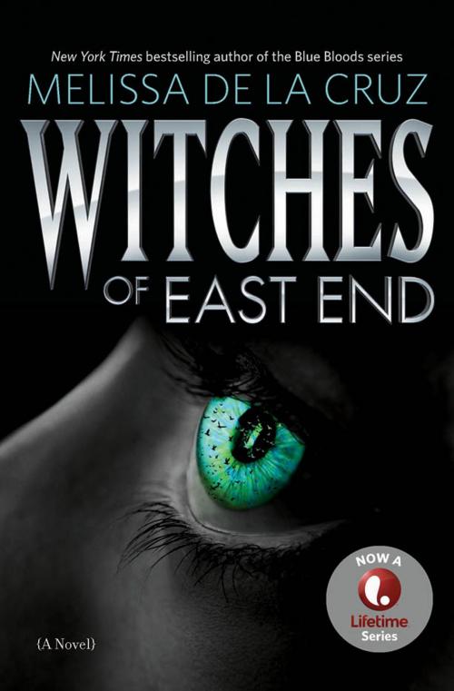 Cover of the book Witches of East End by Melissa de la Cruz, Hachette Books