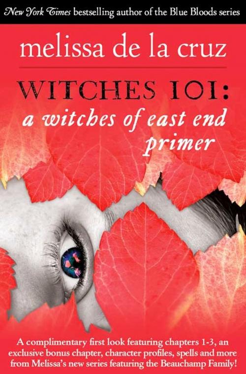 Cover of the book Witches 101 by Melissa de la Cruz, Hachette Books