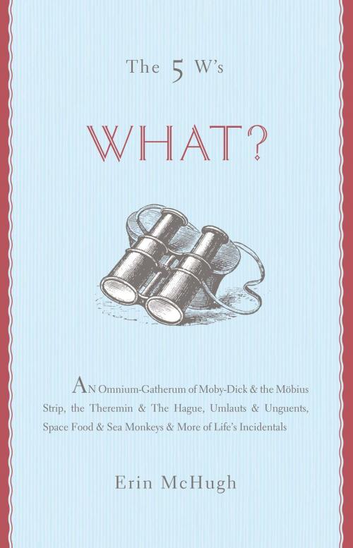 Cover of the book The 5 W's: What? by Erin McHugh, Sterling