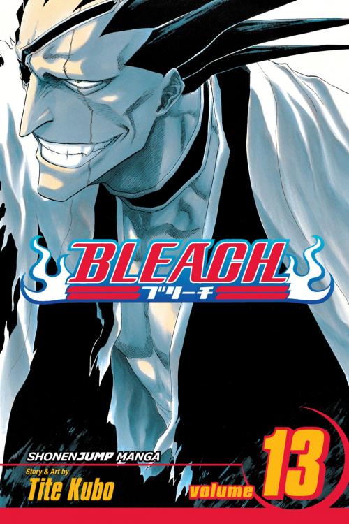 Cover of the book Bleach, Vol. 13 by Tite Kubo, VIZ Media