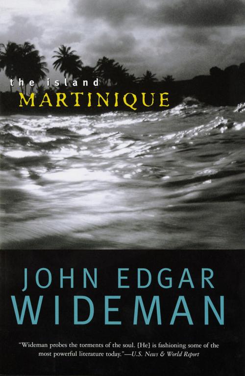 Cover of the book The Island Martinique by John Edgar Wideman, National Geographic Society