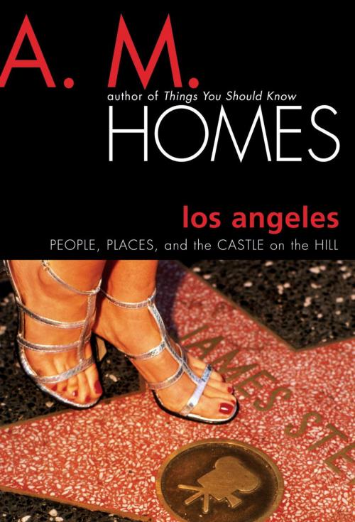 Cover of the book Los Angeles by A. M. Homes, National Geographic Society