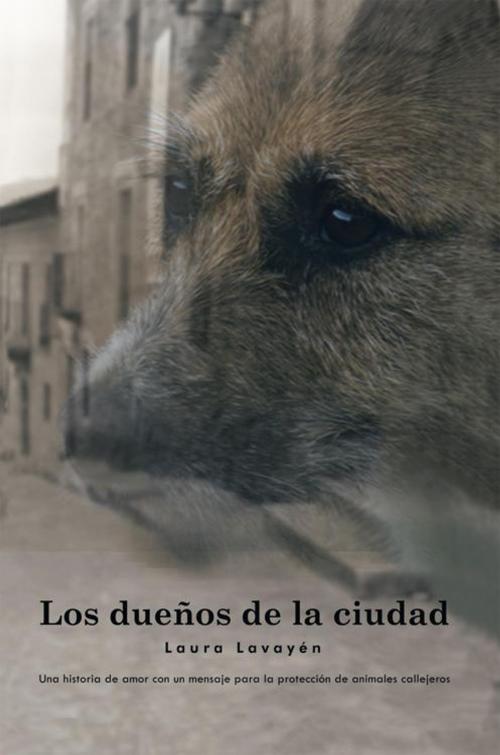 Cover of the book Los Dueños De La Ciudad by Laura Lavayén, Trafford Publishing