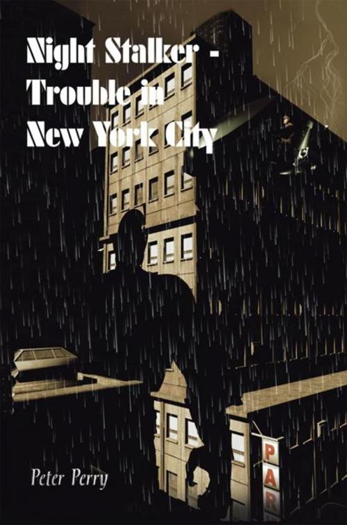 Cover of the book Night Stalker I - Trouble in New York City by Peter Perry, Trafford Publishing